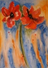 Aquarell - Amaryllis