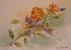 Aquarell - Rosen fr Dich